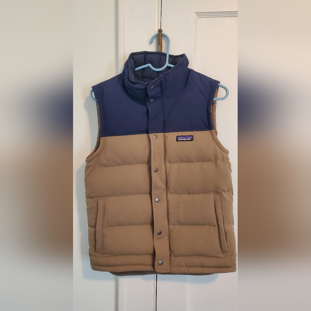 Patagonia men's down vest